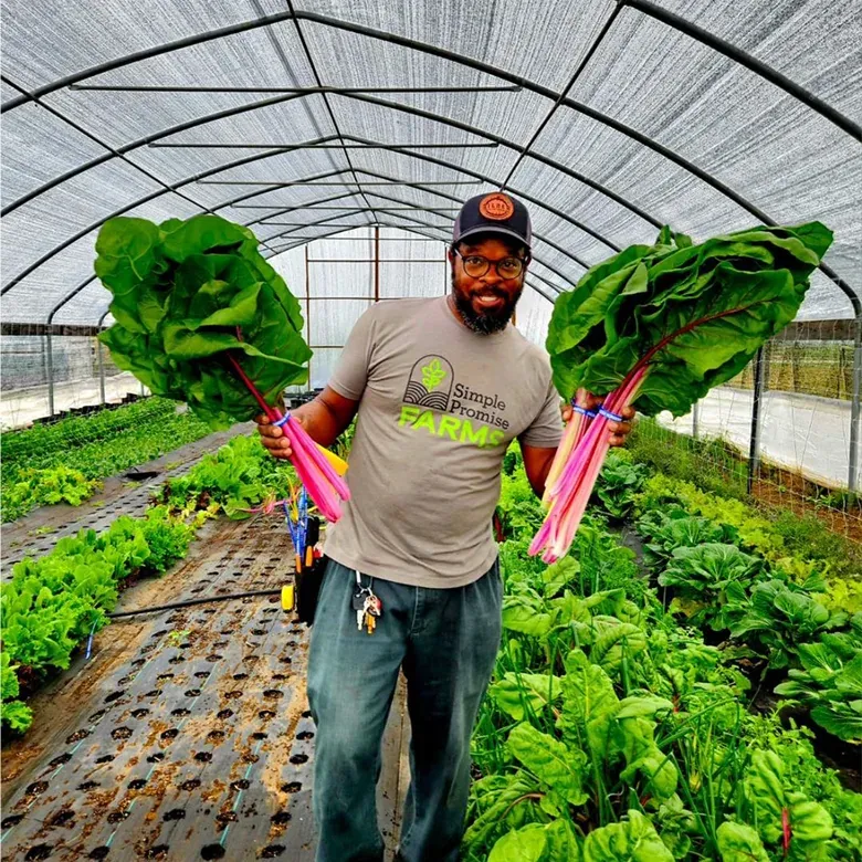 A person holding harvested vegetables inside a greenhouse at Simple Promise Farms.