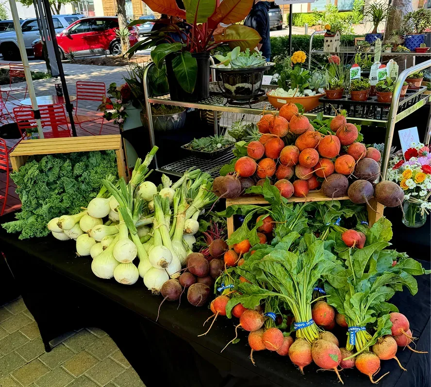Fresh vegetables at the Simple Promise Farms market stand.