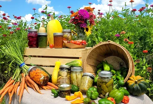 Fresh vegetables displayed at Simple Promise Farms.