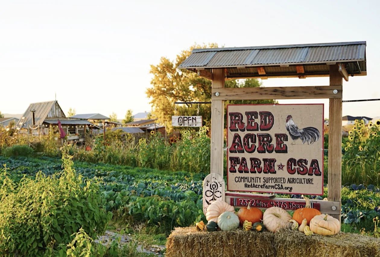 The Red Acre Farm stand