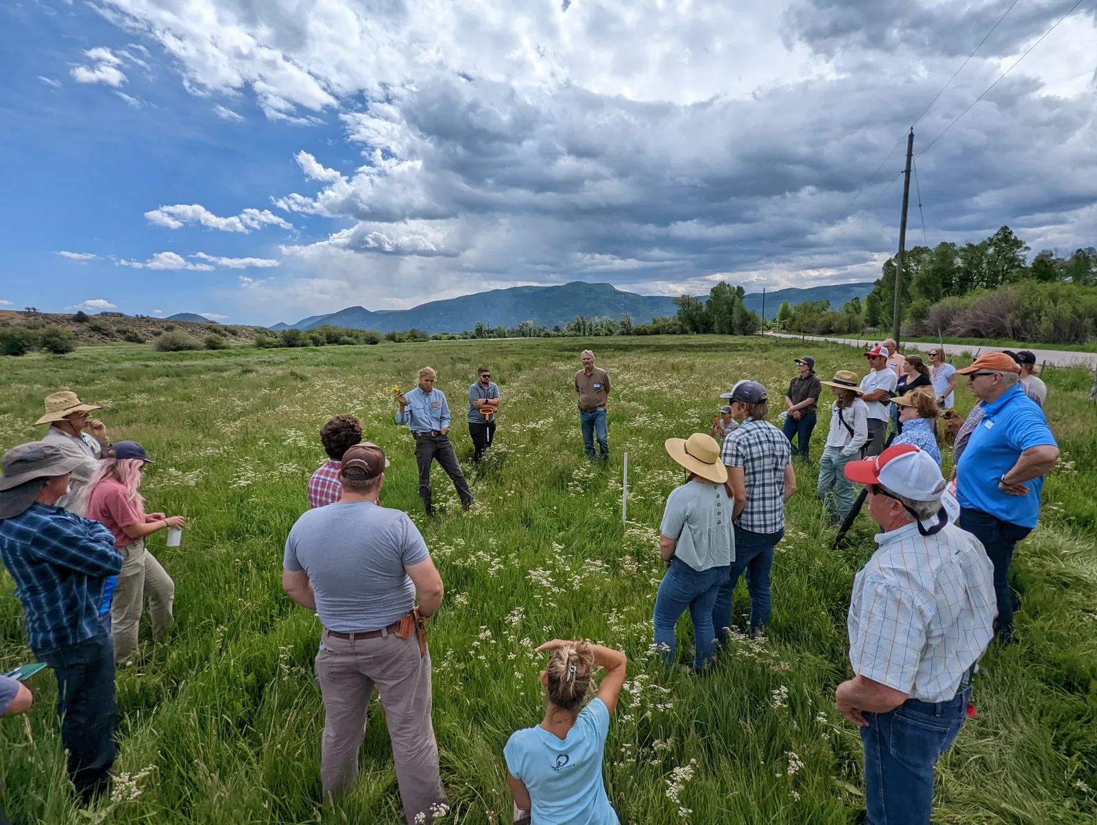 A group visiting pasture at 3 Springs Land & Livestock.